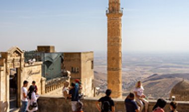 アクティビティ