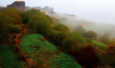 ディヤルバクル